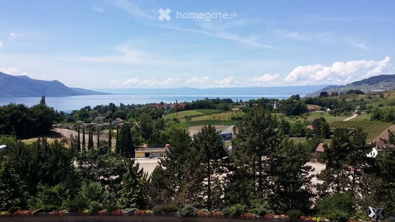 Panoramic view of a lake and surrounding landscape from a balcony or terrace, with trees and buildings in the foreground.