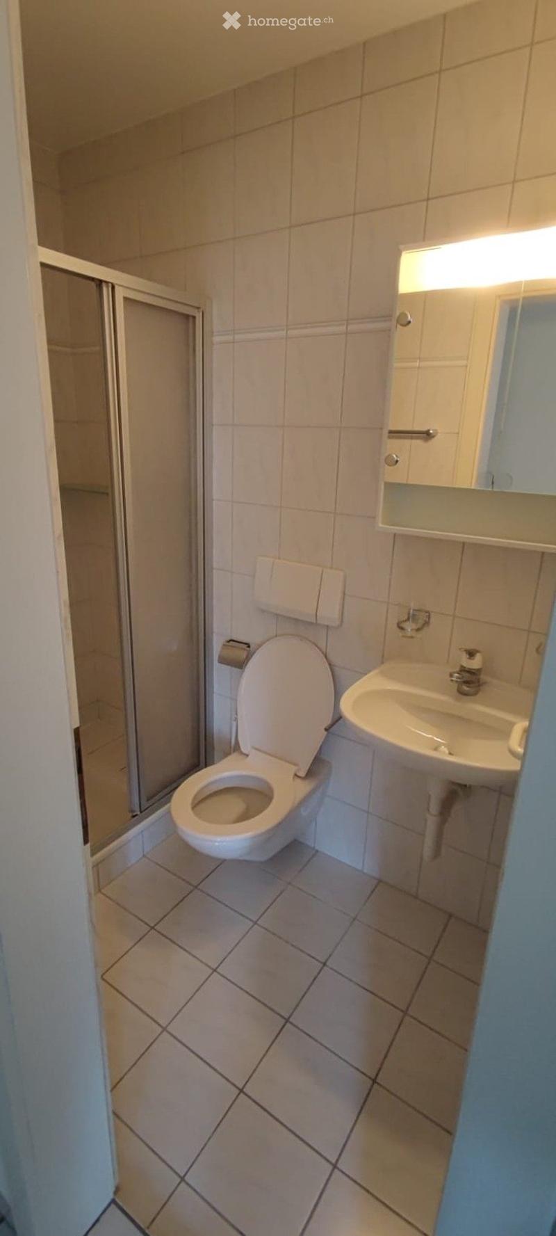 Small bathroom with white tiled walls and floor, featuring a toilet, sink, mirror, and a glass-enclosed shower area.