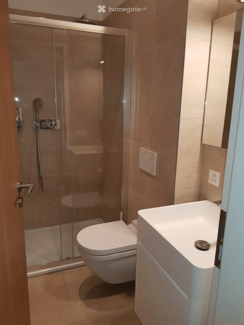 Modern bathroom with a white toilet, a white sink with a chrome faucet, and a glass-enclosed shower stall with a handheld showerhead.