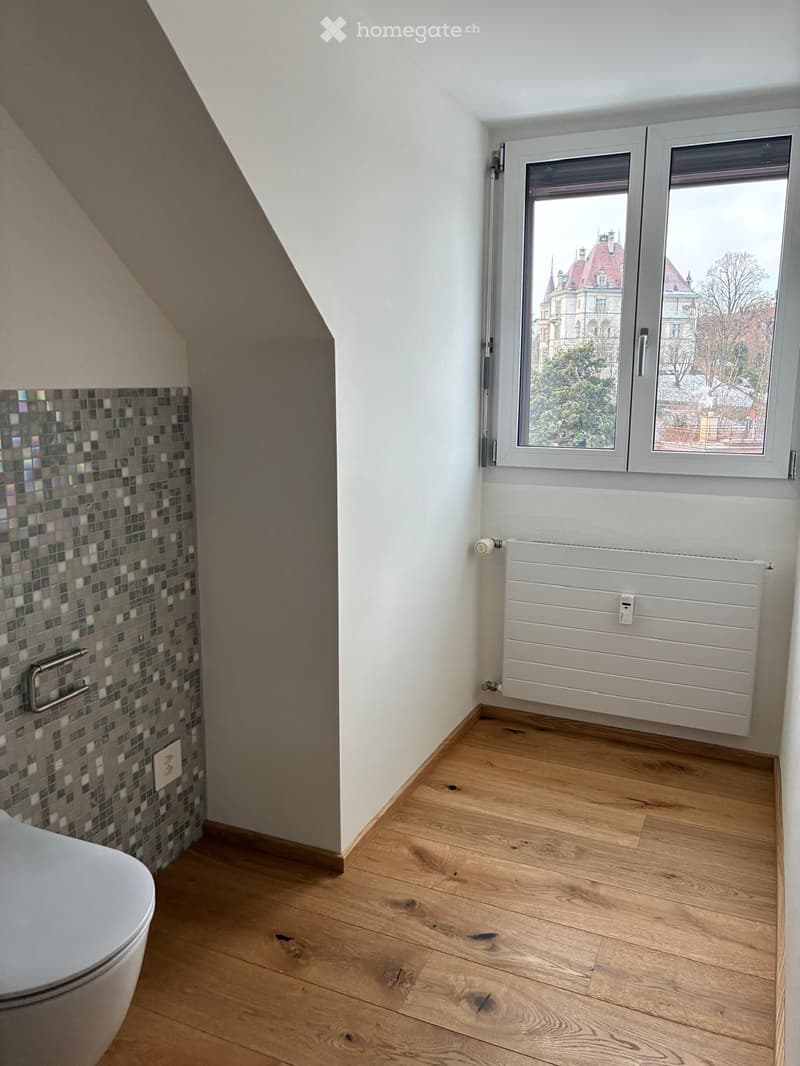 white toilet, white tile wall, wooden floor, white radiator, double window