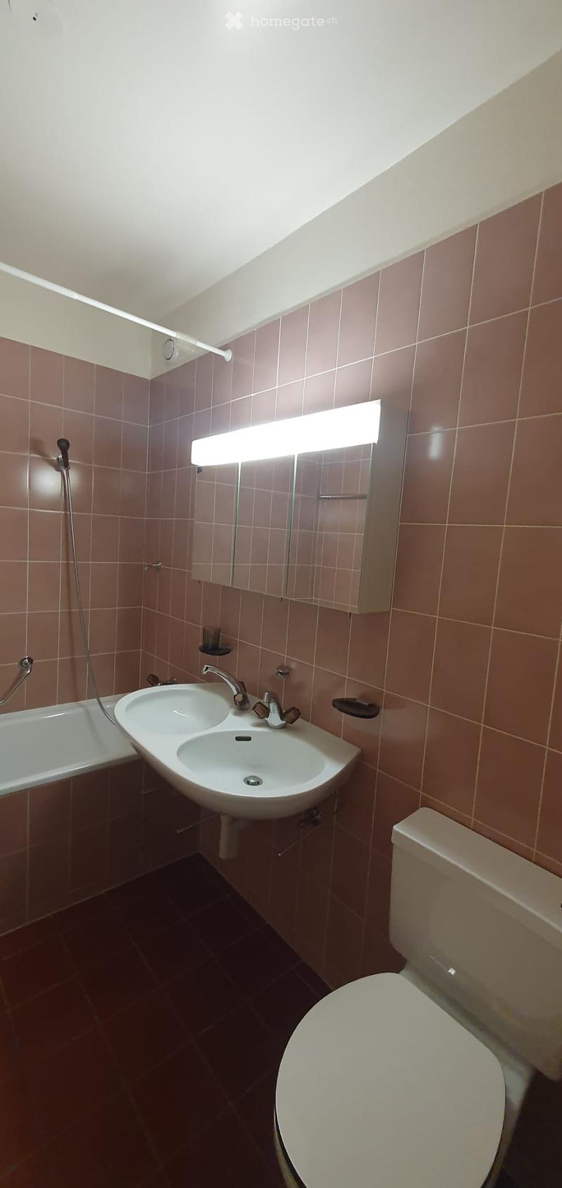 Bathroom with brown tiled walls, a double sink, a toilet, a bathtub, and a mirrored cabinet with lighting.