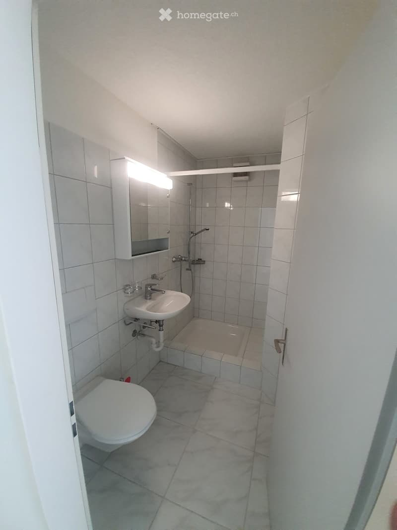 Studio in Dällikon (7)