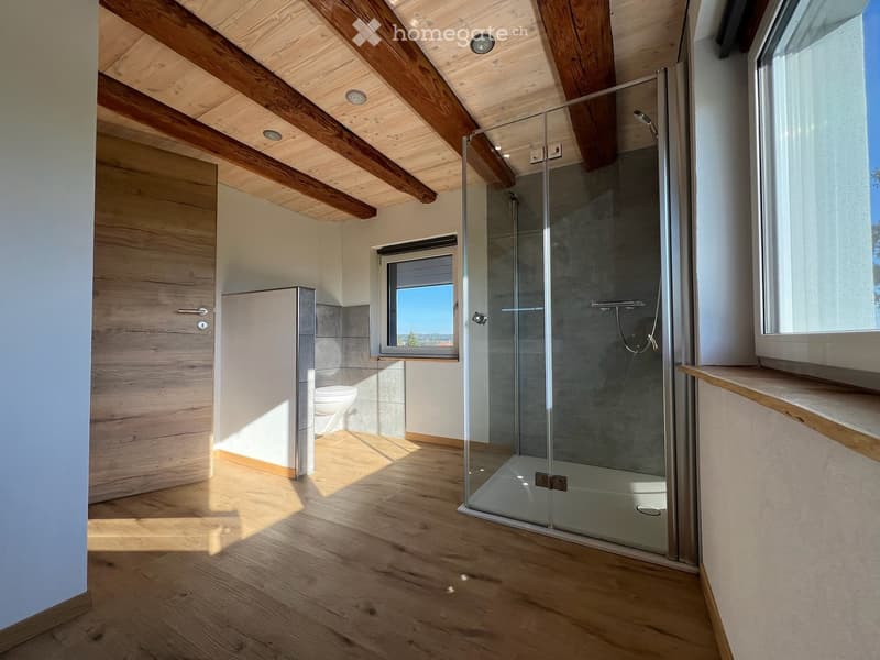 Modern bathroom with wooden ceiling beams, glass shower enclosure, and natural light from windows.