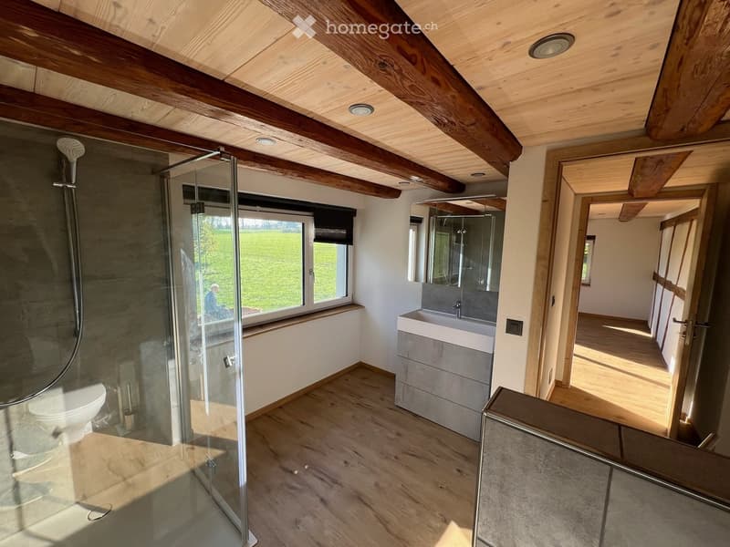 Modern bathroom with wooden ceiling beams, glass shower enclosure, toilet, sink, and large window overlooking a green field.
