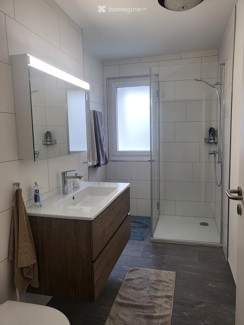 Spezielle 4,5-Maisonette-Dachwohung in Zürich Kreis 6 (11)