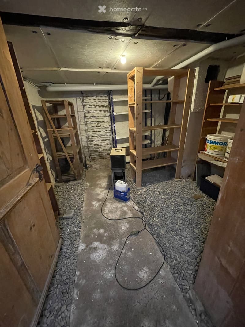Empty basement space with unfinished concrete floor, exposed wooden framing, and scattered rocks along the edges. No furniture or equipment present.