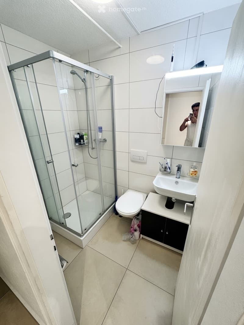 Modern bathroom with a glass-enclosed shower, toilet, sink, and mirror. The walls are tiled in white, and the floor is tiled in beige. There is a small cabinet under the sink holding toiletries.