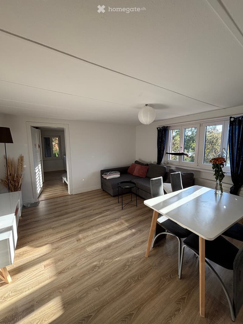 Bright living and dining area with wooden flooring, a grey sofa with pillows, a small black coffee table, a white dining table with chairs, and a vase of flowers on the table. Natural light streams in from large windows.