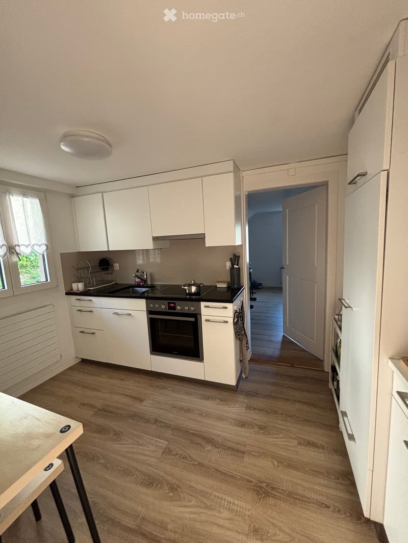 Modern kitchen with white cabinets, wooden flooring, and a black countertop featuring an oven, sink, and various small appliances.