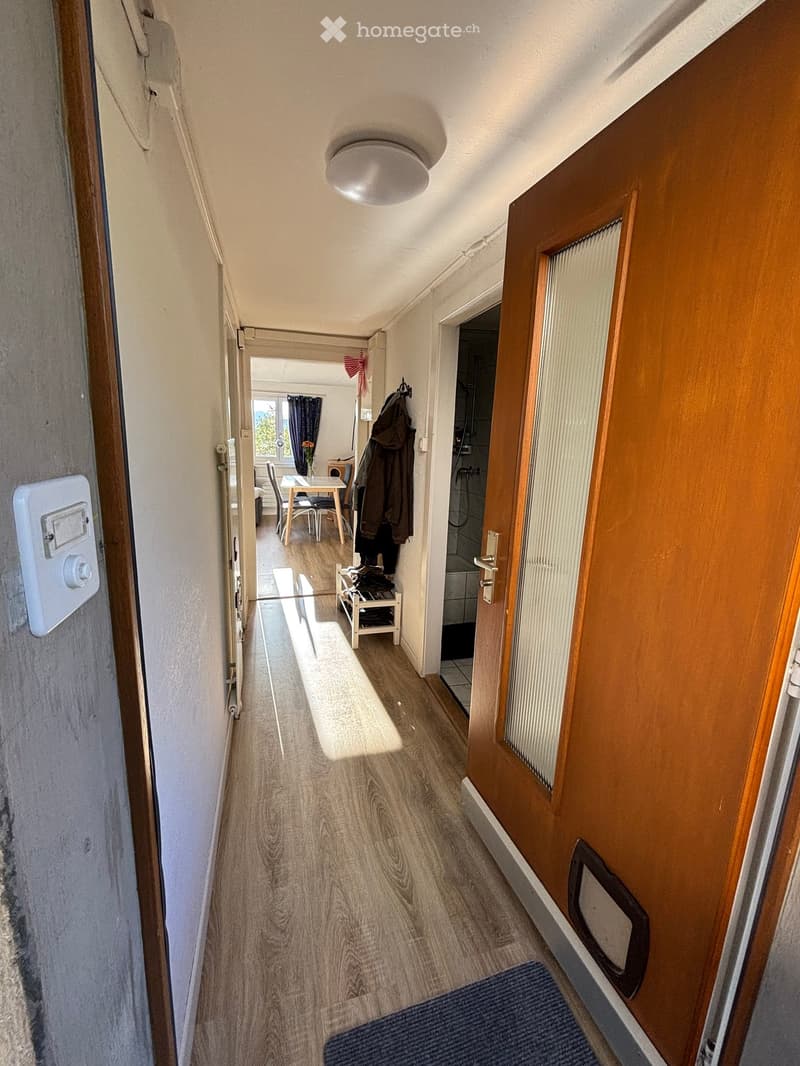 A narrow hallway with wooden flooring, white walls, and a ceiling light. Doors lead to a dining area and a bathroom, with a small shoe rack and coat hooks visible.