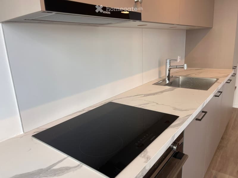 Modern kitchen with marble countertops, built-in induction cooktop, stainless steel sink, and sleek cabinetry.
