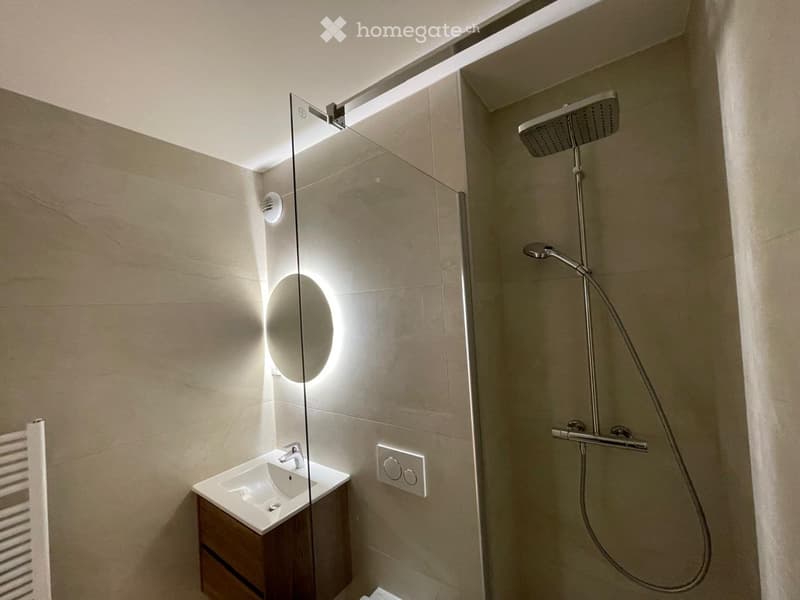 Modern bathroom with a glass-enclosed shower, a sink with a wooden cabinet, and a round mirror illuminated by LED lighting.