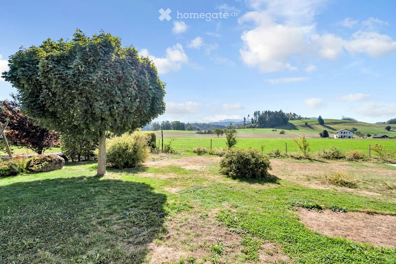 A spacious garden with a large tree, well-maintained lawn, and scattered bushes, surrounded by open fields and distant hills under a clear blue sky.