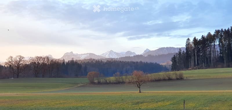 A serene landscape featuring a vast green field with scattered trees, a lone tree in the foreground, and a dense forest bordering the field. Snow-capped mountains rise majestically in the background under a partly cloudy sky.