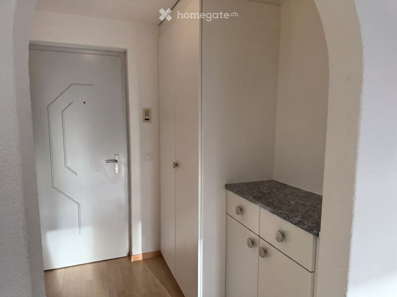 A narrow hallway with light-colored walls, wooden flooring, and a small built-in storage unit with a granite countertop and drawers.