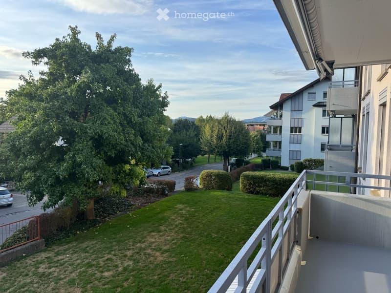 Balcony overlooking a well-maintained garden with trimmed hedges, a large tree, and a residential street with parked cars and neighboring buildings.