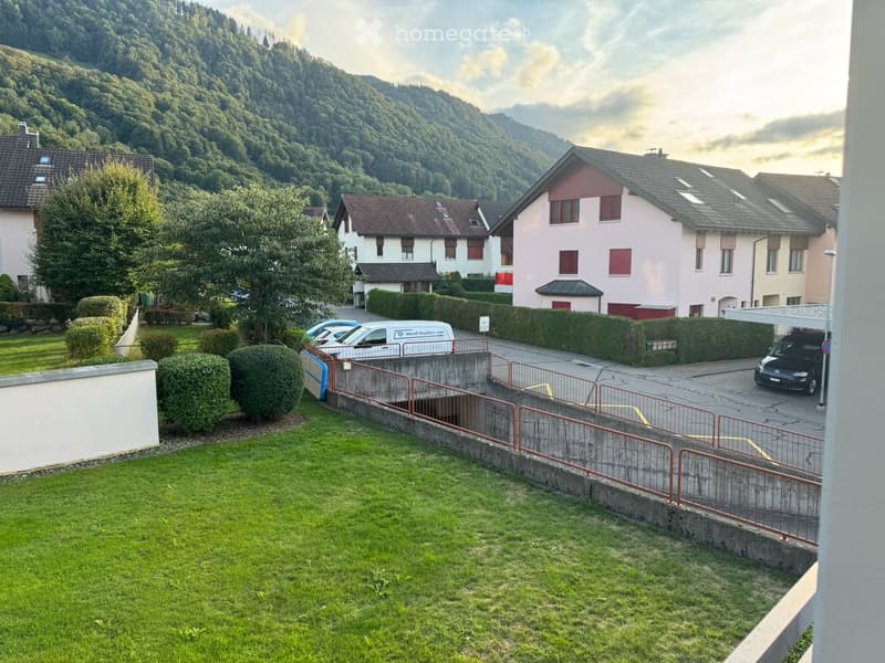 A well-maintained garden area with green grass, neatly trimmed bushes, and a concrete retaining wall with a metal railing. The background shows residential houses, parked cars, and a scenic mountainous landscape.