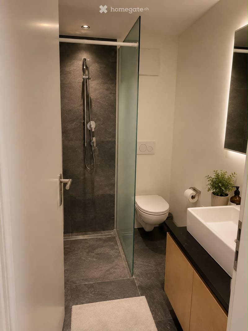 Modern bathroom with a glass-enclosed shower, toilet, sink, and a small plant on the counter.