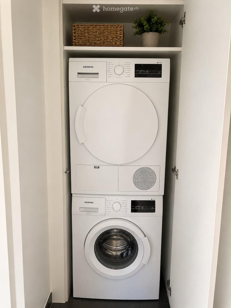 A compact bathroom with a stacked Siemens washing machine and dryer unit, white cabinetry, and a small potted plant on the shelf above.