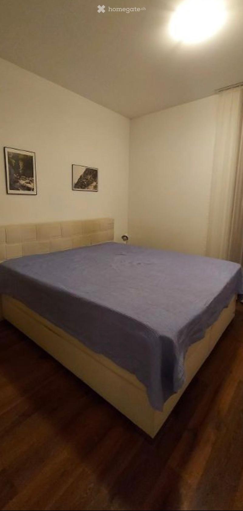 Bedroom with a single bed covered in a blue duvet, a headboard, and two picture frames on the wall.