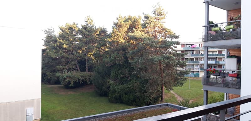 Balcony overlooking a green lawn and trees, with neighboring apartment buildings in the background.