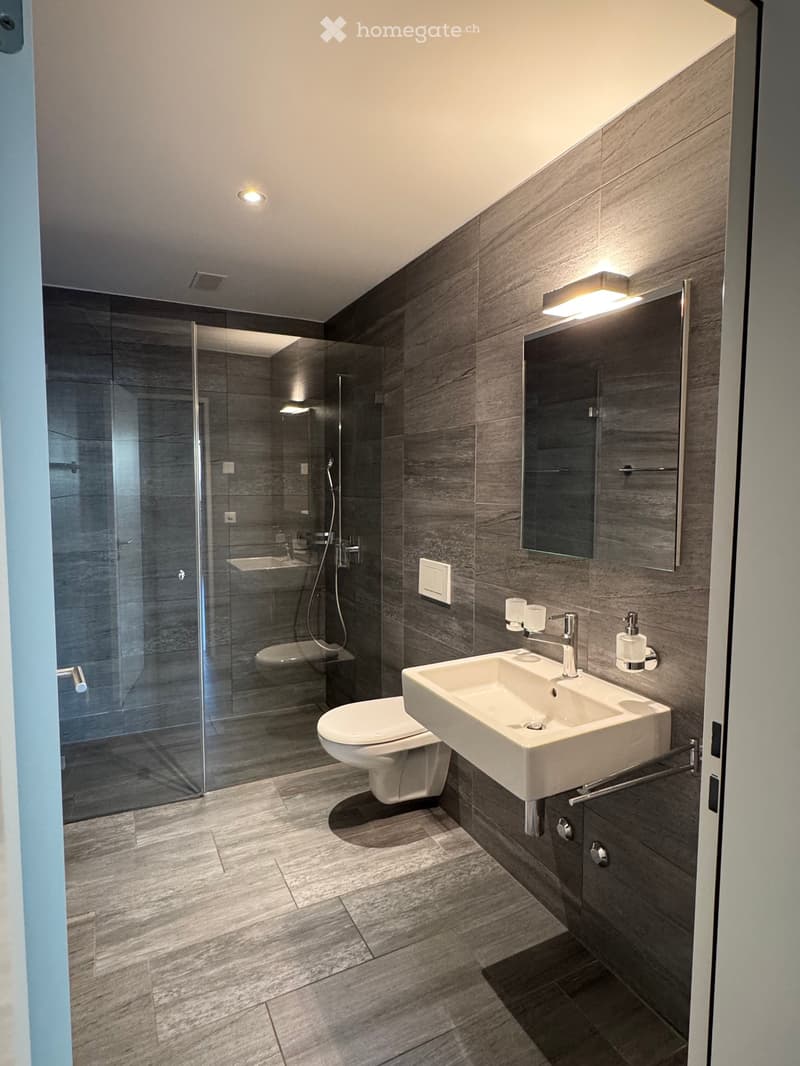 Modern bathroom with a white sink, chrome faucet, large mirror, toilet, and glass-enclosed shower. Dark grey tiles and wooden flooring.