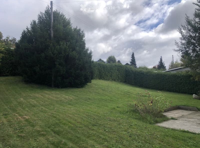 A grassy yard with a concrete pathway, surrounded by tall trees and shrubs, under a partly cloudy sky.