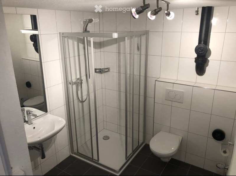 Modern bathroom with white tiles, a glass-enclosed shower stall, a sink with a chrome faucet, and a toilet. The room features built-in lighting and a mirror above the sink.