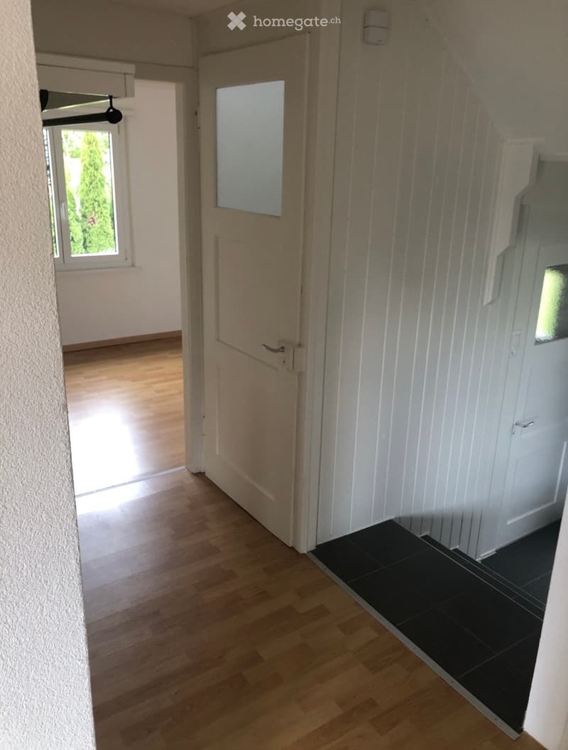 Empty hallway with wooden flooring, white walls, and a black tiled entryway. Features a frosted glass door and a window with a view of greenery.