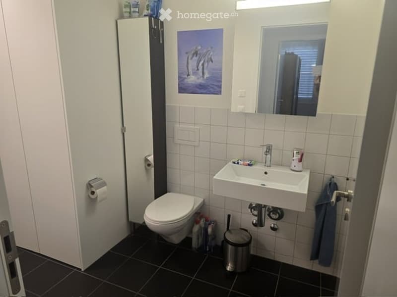 Modern bathroom with white tiles, a toilet, a sink with a mirror above it, a cabinet, a picture frame, a trash can, and a towel hanging on the side.