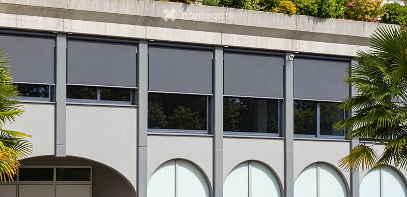 Modern building facade with large windows, roller shades, and palm trees in the foreground.