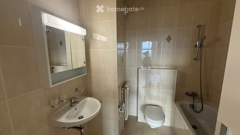 Modern bathroom with beige tiles, a sink with a mirror, a toilet, a bathtub with a handheld shower, and a radiator.
