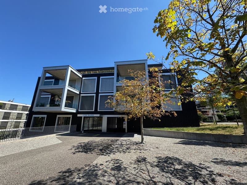 Penthouse der Extraklasse in Wollerau (1)