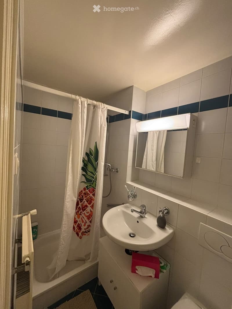 Bathroom with a sink, mirror, shower, and toilet. Features a white shower curtain with a leaf design, a towel on the rack, and a pink towel on the cabinet.