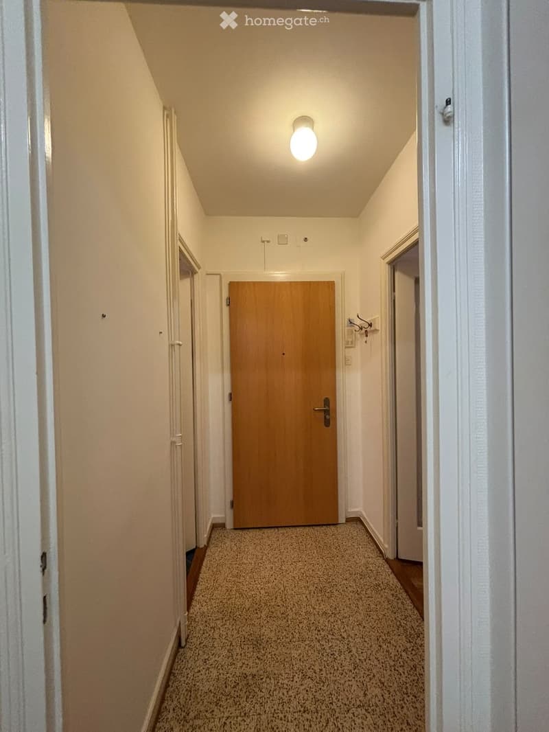 A narrow hallway with beige walls, carpeted floor, and a single wooden door at the end. The ceiling has a single light fixture, and there are white door frames on both sides.