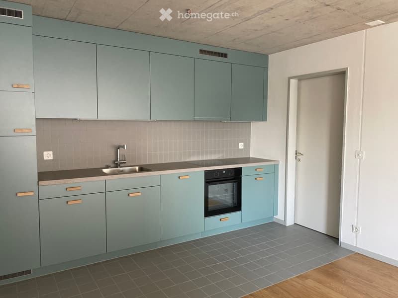 Minimalist kitchen with teal cabinets, wooden drawers, stainless steel sink, integrated oven and dishwasher.
