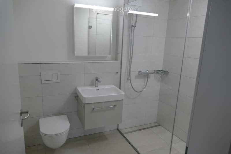 Modern bathroom with white tiles, a sink with a mirror, a toilet, and a glass-enclosed shower area.