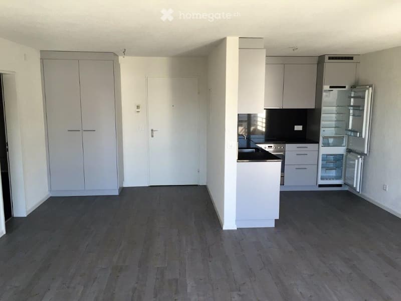 Empty kitchen with white cabinets, dark countertops, and a dark wooden floor. No furniture or appliances are present.