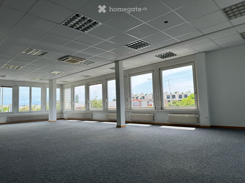 Grand espace de bureaux à Nyon (1)