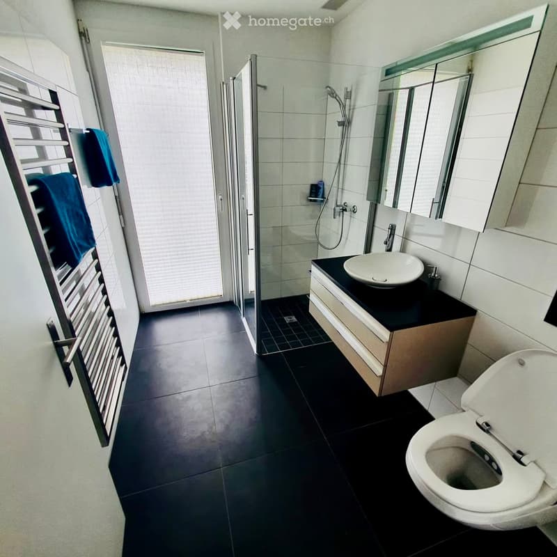 Modern bathroom with dark tiled floor, white sink, toilet, shower, and towel rack with blue towels.