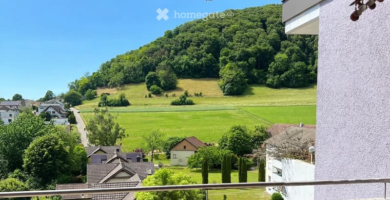 Balcony view overlooking a green landscape with houses, trees, and a hill in the background.