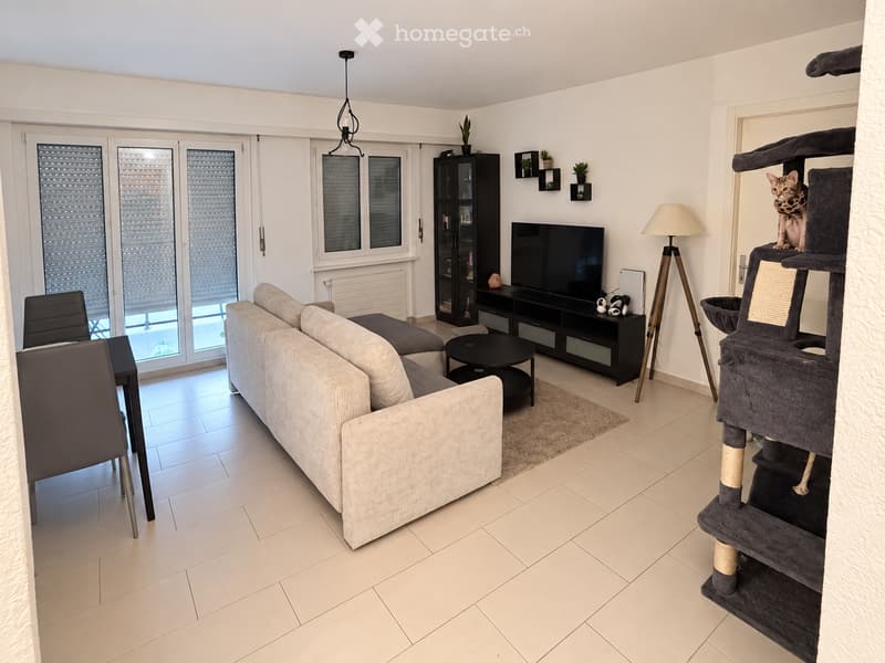 Modern living room with a grey sofa, coffee table, dining chair, cat tree, TV, bookshelf, and floor lamp. Large windows and sliding doors lead to a balcony.