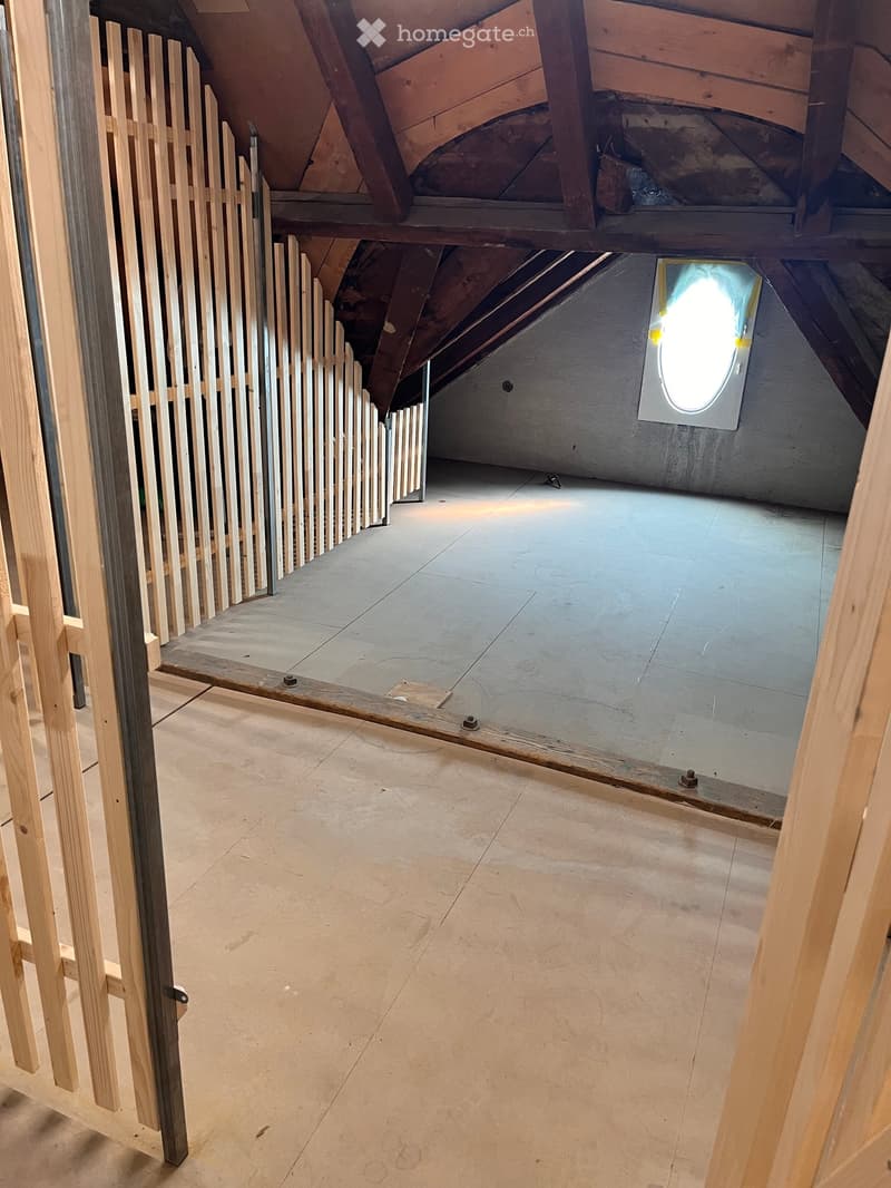 Empty attic space with exposed wooden beams, concrete floor, and a skylight window. Wooden railing and partially constructed wooden door frame visible.
