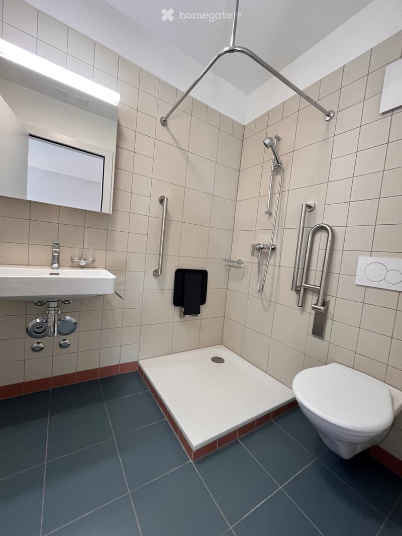 Modern bathroom with a white sink, mirror, toilet, and walk-in shower with a handheld showerhead and grab bars.