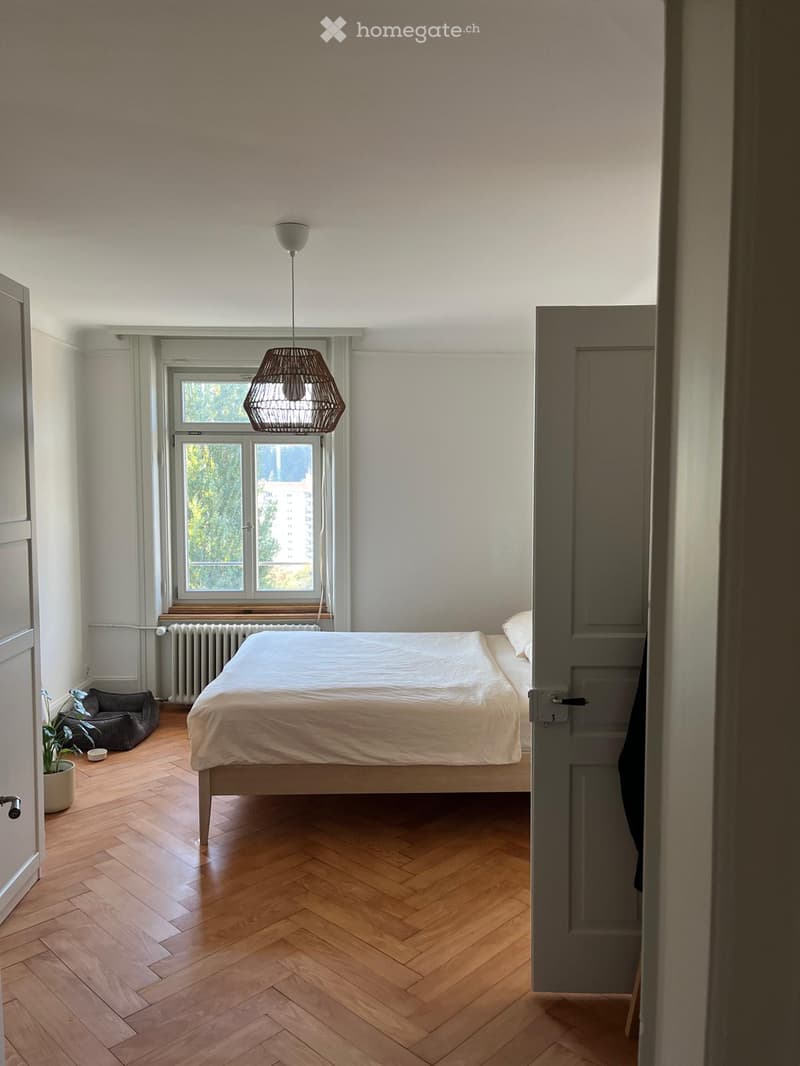 Modern bedroom with herringbone wooden flooring, white walls, large window with view, bed with white bedding, wicker pendant light, radiator, pet bed, and small potted plant.