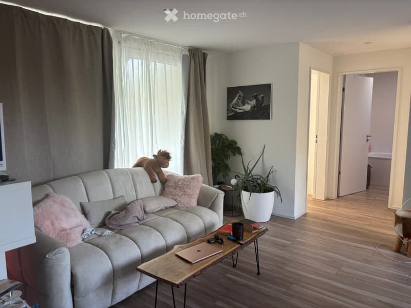 Modern living room with light wooden flooring, a grey sectional sofa adorned with pink and grey cushions, a wooden coffee table holding a laptop, a large potted plant, and a small side table with a lamp. A picture frame hangs on the wall, and a doorway le
