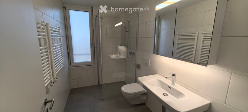 Modern bathroom with a large mirror, sink, toilet, shower, and radiator. The space features tiled walls and a window providing natural light.