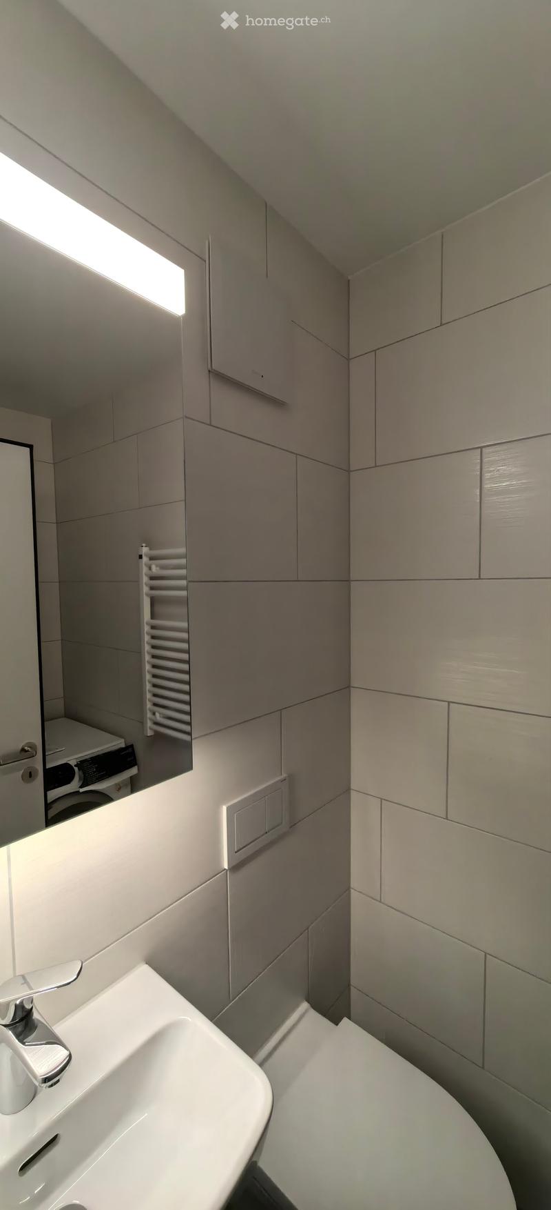 Modern bathroom with a white sink, chrome faucet, toilet, radiator, mirror, and built-in cabinets. A washing machine is visible in the background.