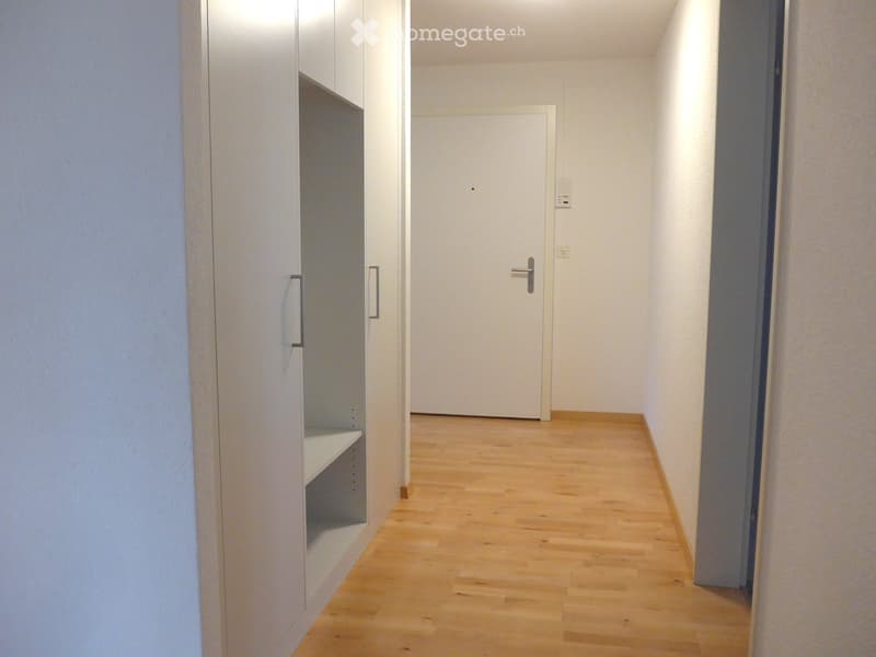 A narrow hallway with light wooden flooring, white walls, and a built-in cabinet with shelves on one side. A closed white door is at the end of the hallway.