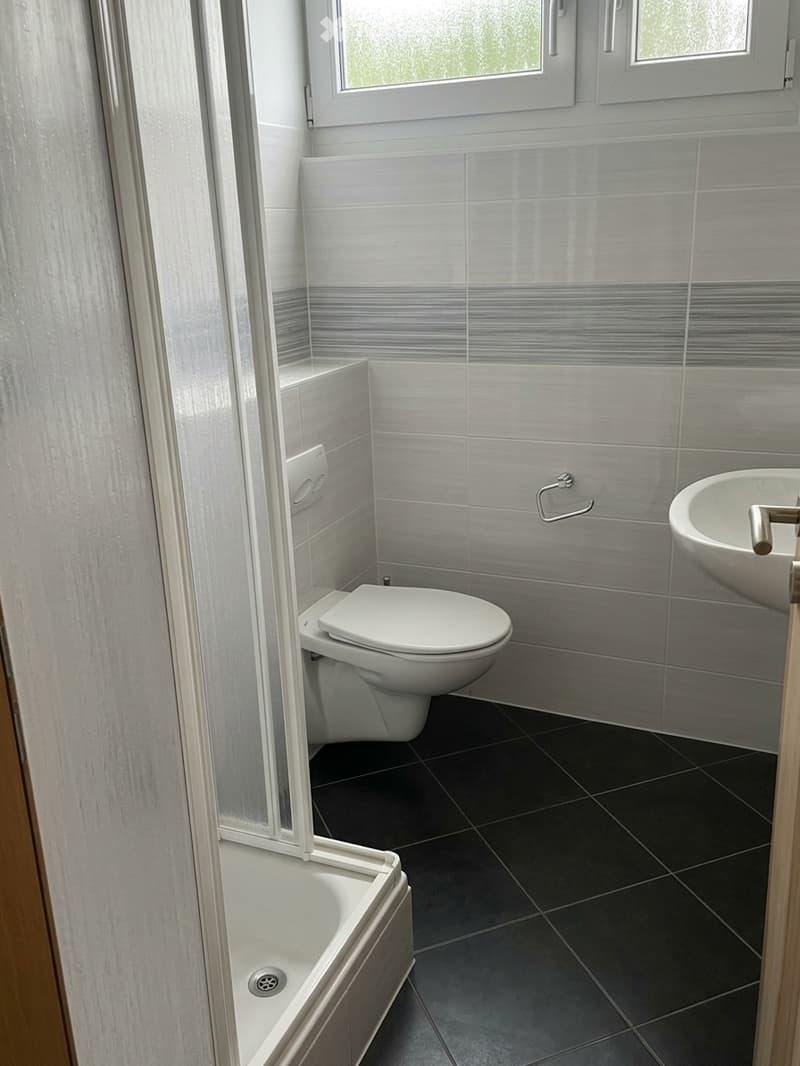 Modern bathroom with grey tiles, white toilet, sink, and shower area. Features a window with frosted glass and a towel rack.